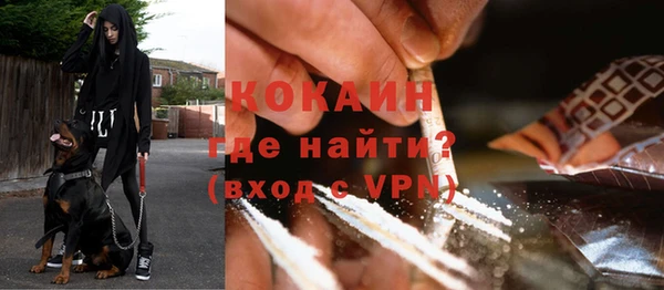 mdpv Богданович